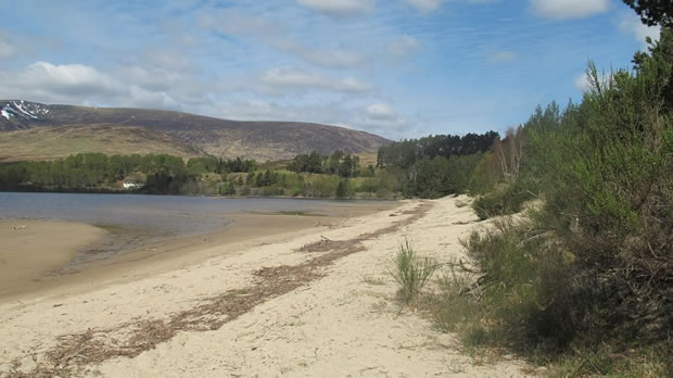 laggan-beach