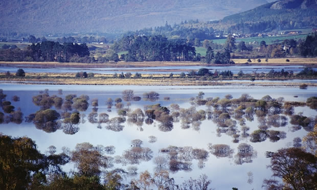 rspb-insh-marshes