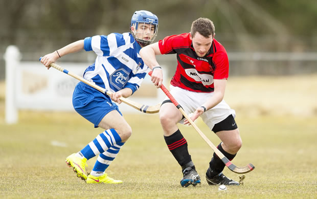 shinty